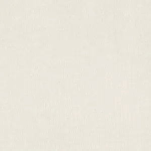 100% Organic Cotton Single Jersey - Ivory (2SP029)