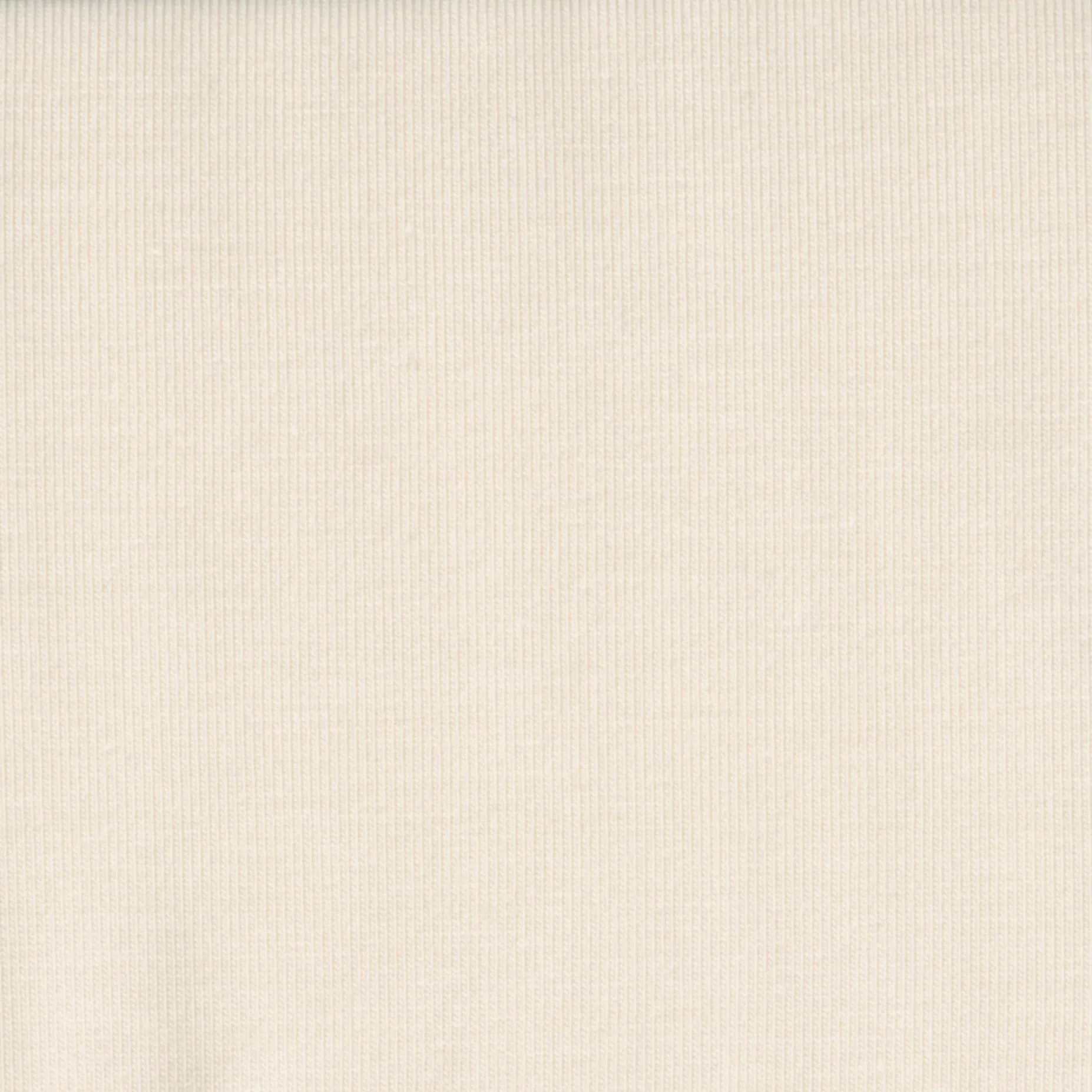 95% Micromodal, 5% Elastane Single Jersey - Ivory (2SP212)