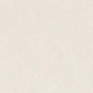 95% Organic Cotton, 5% Elastane Single Jersey - Ivory (2SP060)