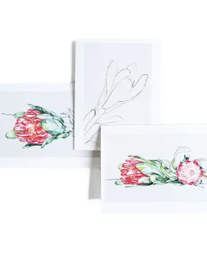 Boxed Set of 10 Assorted Note Cards