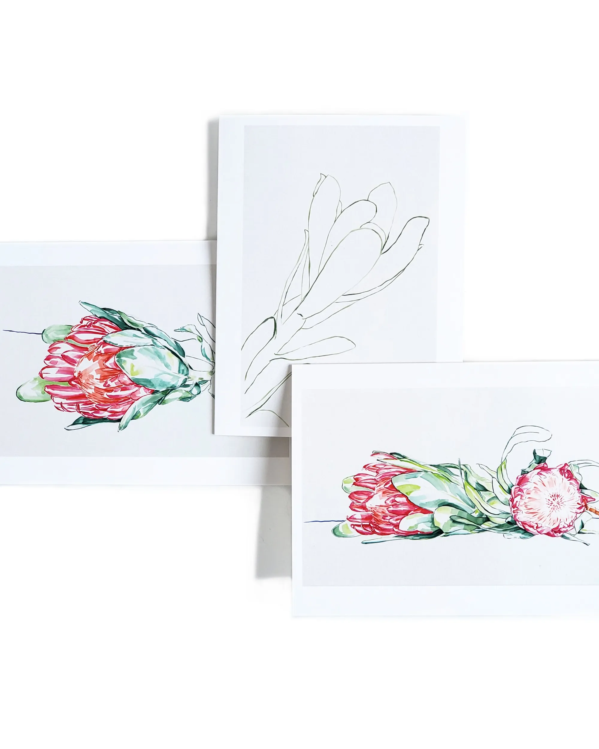 Boxed Set of 10 Assorted Note Cards