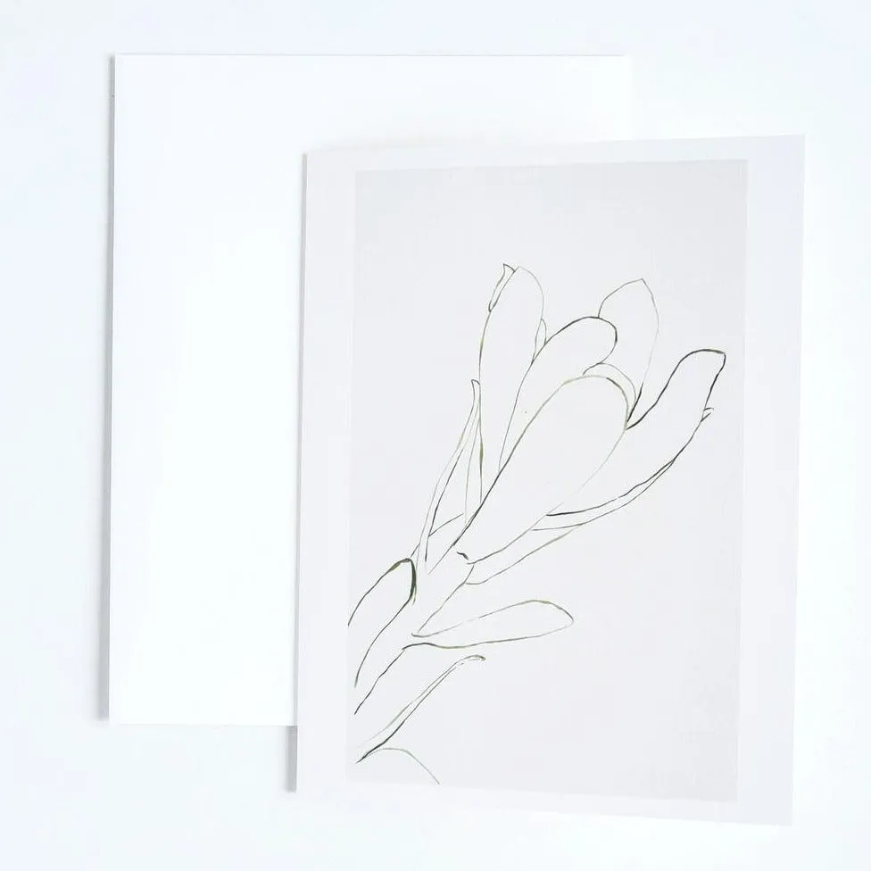 Boxed set of 10 In The Beginning Note Cards