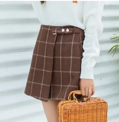Cute Korean Woolen Skirt
